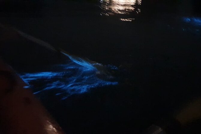 Sunset & Bioluminescent Plankton Kayaking Lan Ha bay - From pickup to Cai Beo floating village