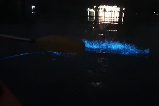 Sunset & Bioluminescent Plankton Kayaking Lan Ha bay - Who will enjoy this Cat Ba evening