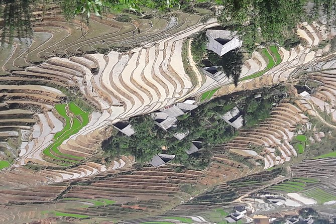 The best view and most authentic tour in Sapa (Non Touristy) - Life inside Hmong and Dzao communities