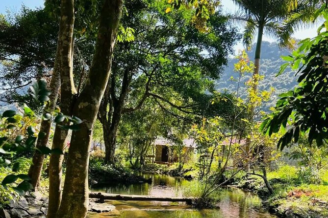 The Hidden Trails of Cat Ba - Why this day works better than a standard bay cruise
