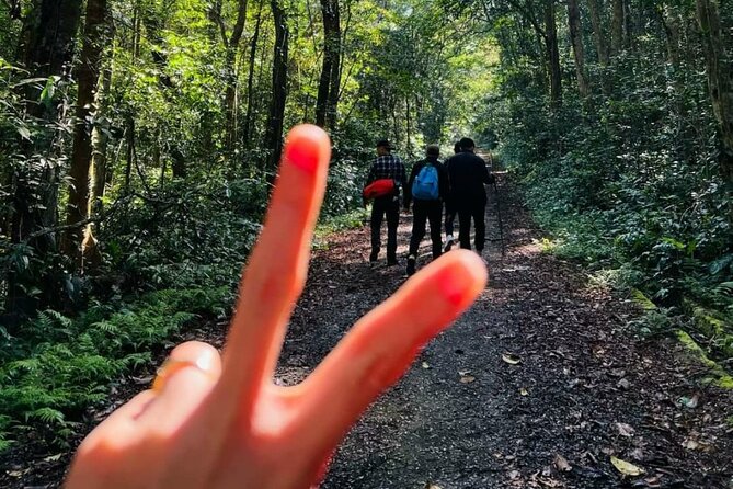 The Hidden Trails of Cat Ba - Choose Navy Peak or a countryside bike ride