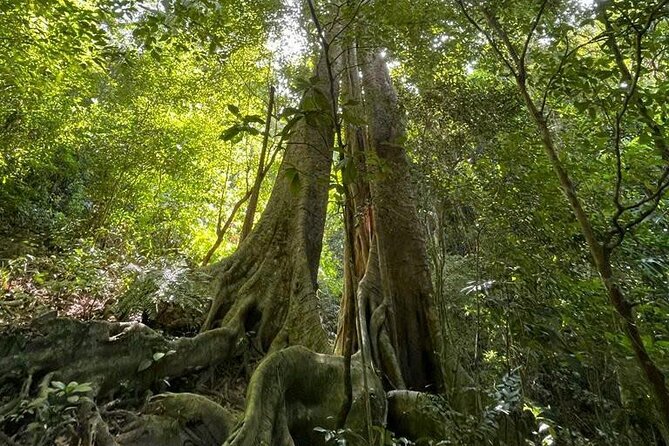 The Hidden Trails of Cat Ba - Kayaking through Lan Ha Bay