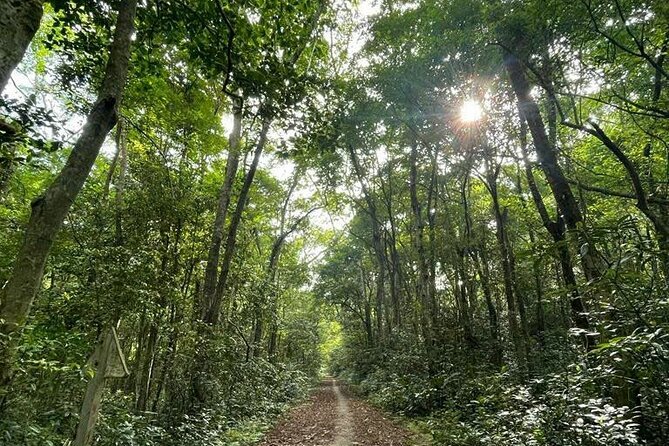 The Hidden Trails of Cat Ba - The people behind the operation