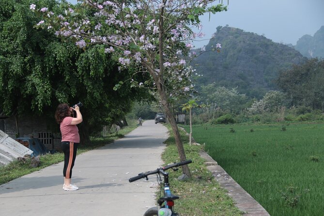 Trang An and Bich Dong Luxury Small Group Tour with Cycling - Bich Dong Pagoda and the Buddhist story behind it