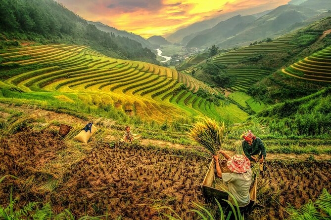 Trek Adventure in Ta Van Village, Lao Chai - The right season, shoes, and expectations