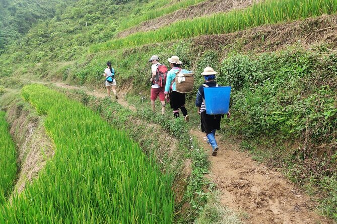 Trek Adventure in Ta Van Village, Lao Chai - Who should book this Sapa trek