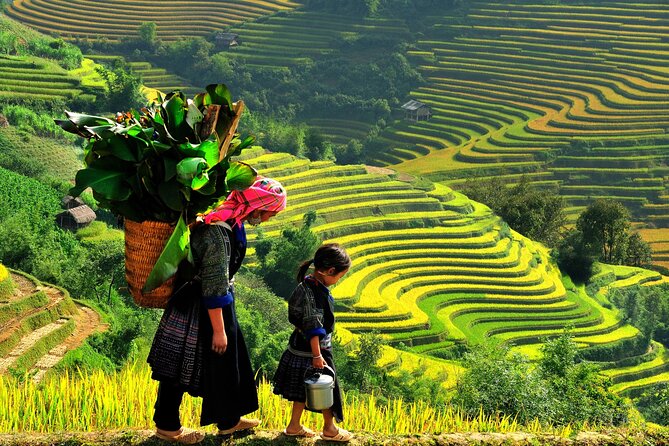 Trek Adventure in Ta Van Village, Lao Chai - Starting from Sapa and entering Y Linh Ho