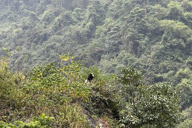 Trekking Ban Gioc Waterfall to Hidden Village on Unique Route - Ngao Cave and its old stone formations
