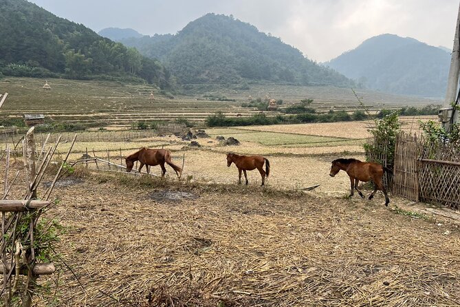 Trekking Ban Gioc Waterfall to Hidden Village on Unique Route - The long afternoon route through rural Cao Bang