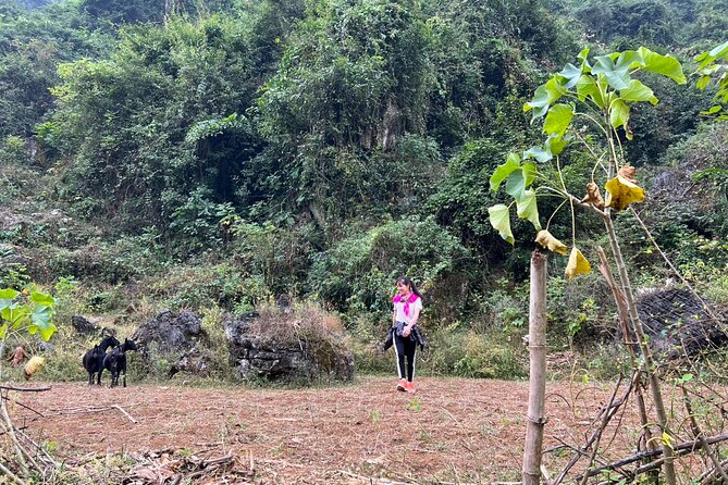 Trekking Ban Gioc Waterfall to Hidden Village on Unique Route - Ban Gioc Waterfall and the return to Cao Bang