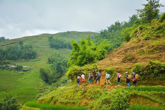 Trekking Through Rice Terraced Fields - 1Day - Starting below Sapa and heading toward Y Linh Ho