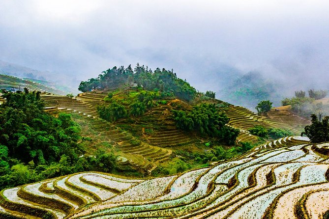 Trekking Through Rice Terraced Fields - 1Day - Ta Van and the Giay cultural contrast