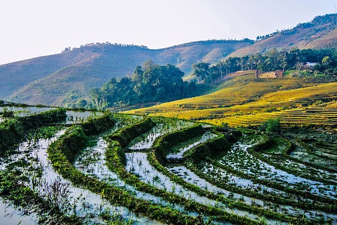 Trekking Through Rice Terraced Fields - 1Day - Is $45 good value for a Sapa trek?