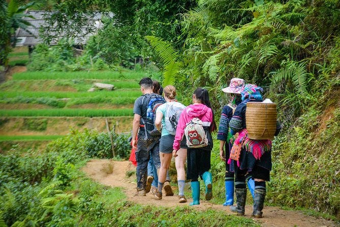 Trekking Through Rice Terraced Fields - 1Day - Timing, meeting details, and cancellation