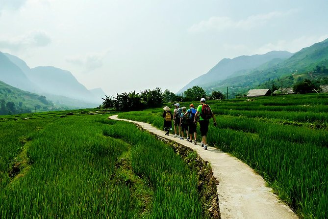 Trekking Through Rice Terraced Fields - 1Day - Lunch after the hardest walking