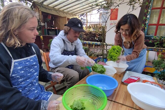 Vietnamese Spring Rolls Cooking Class - Rolling rice paper without the usual fuss