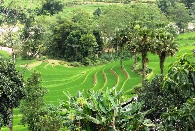 ZinDin Tours in Hagiang - Lung Khuy Cave changes the pace